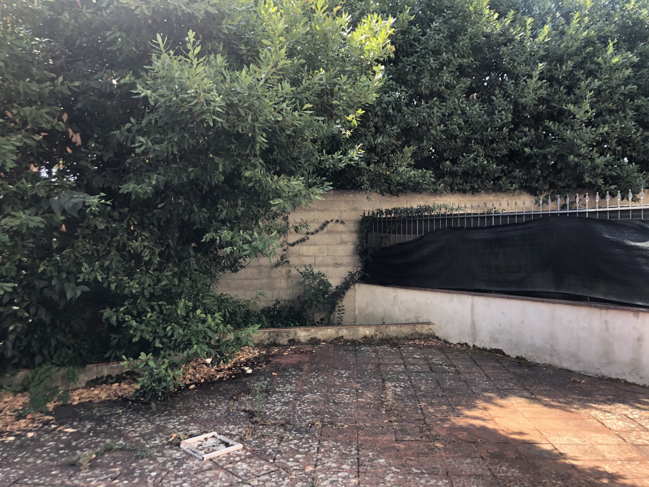Bilocale arredato in affitto a Firenze
