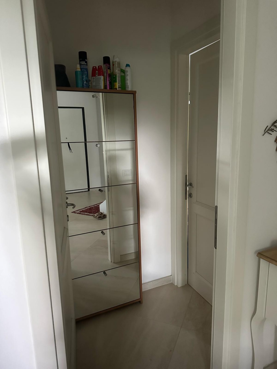 Villa con giardino a Montignoso