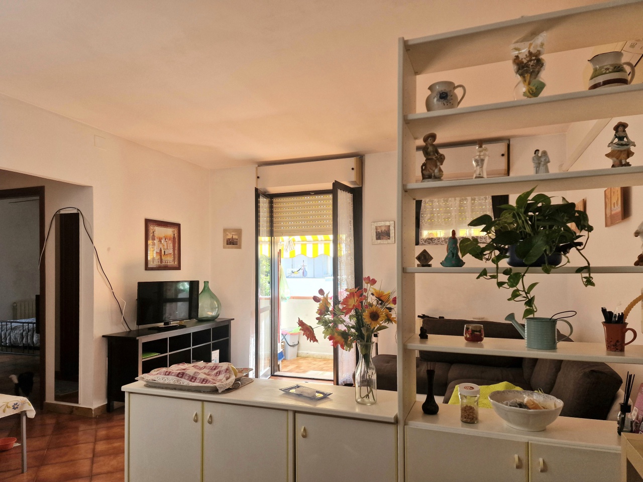 Trilocale con terrazzo a Massa