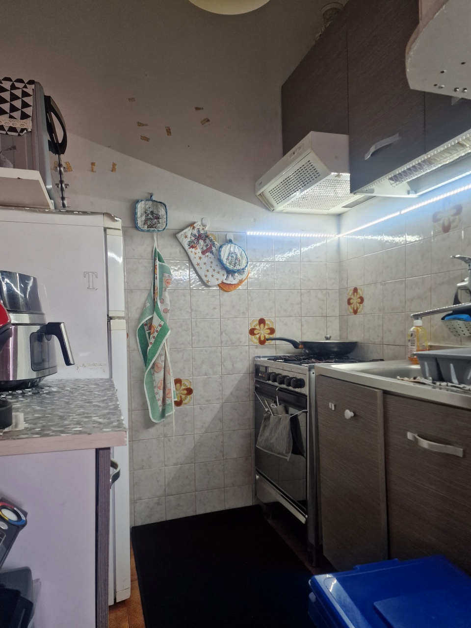 Trilocale con giardino a Massa