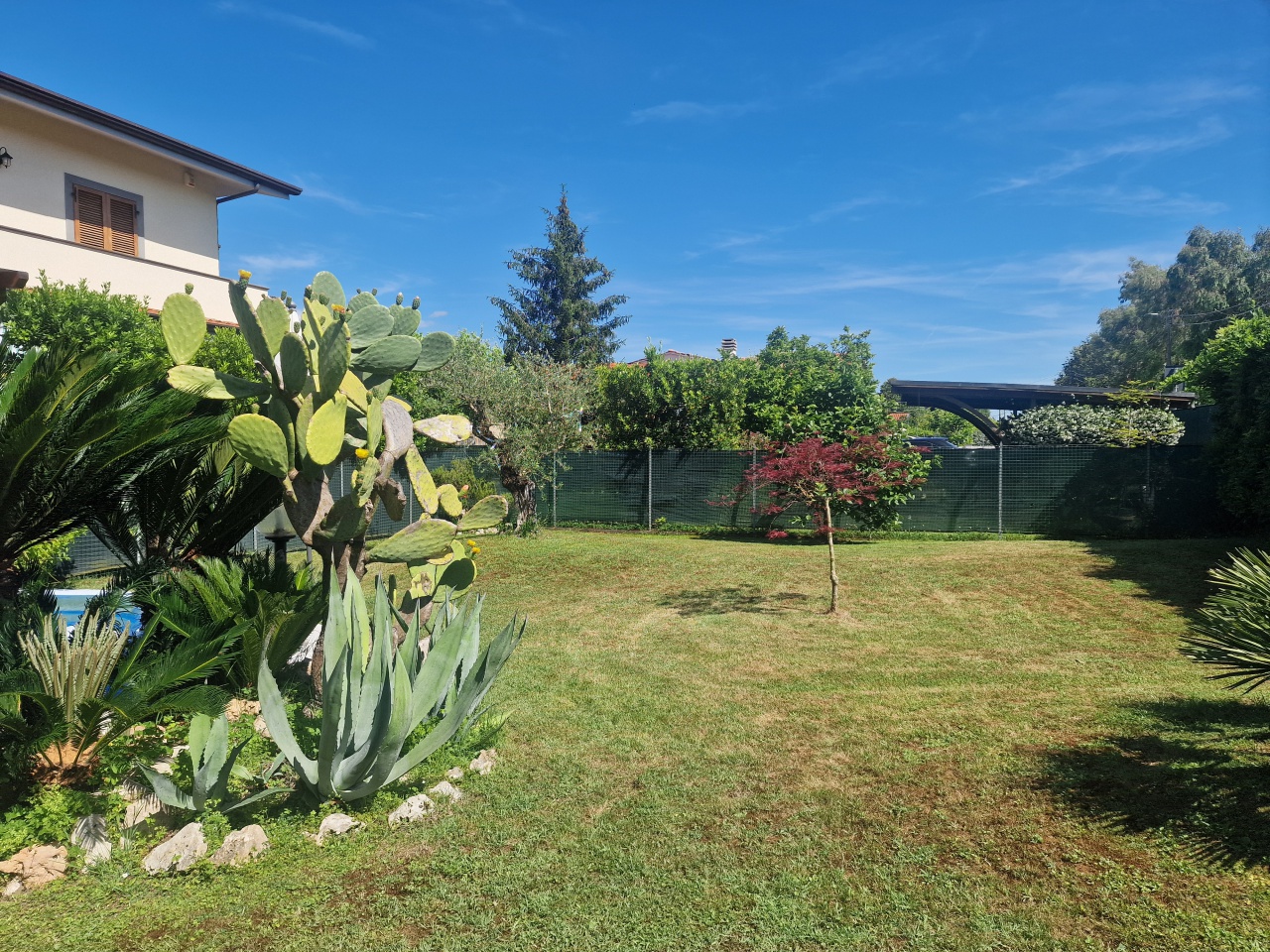 Villa con giardino a Massa