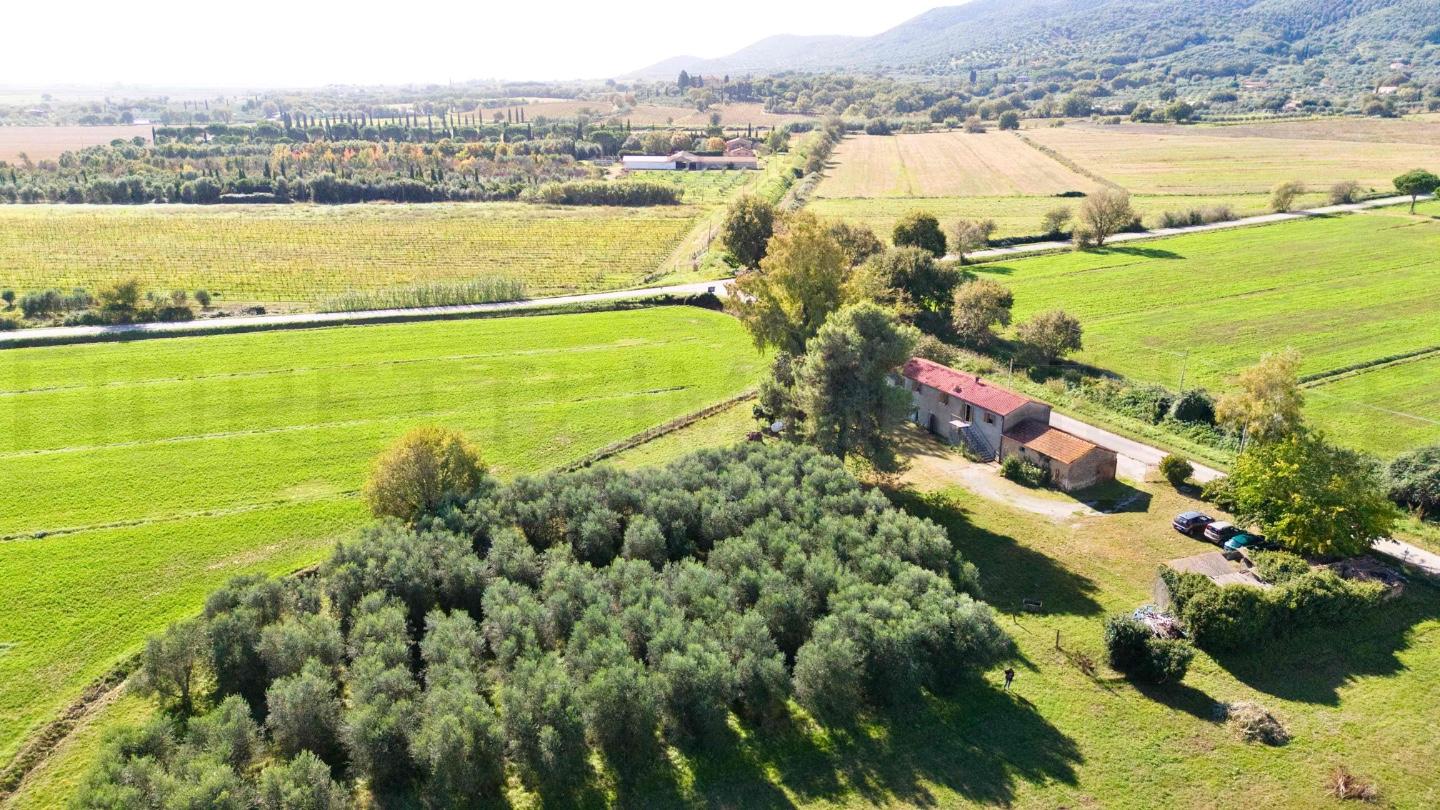 immagine annuncio 3 di 6