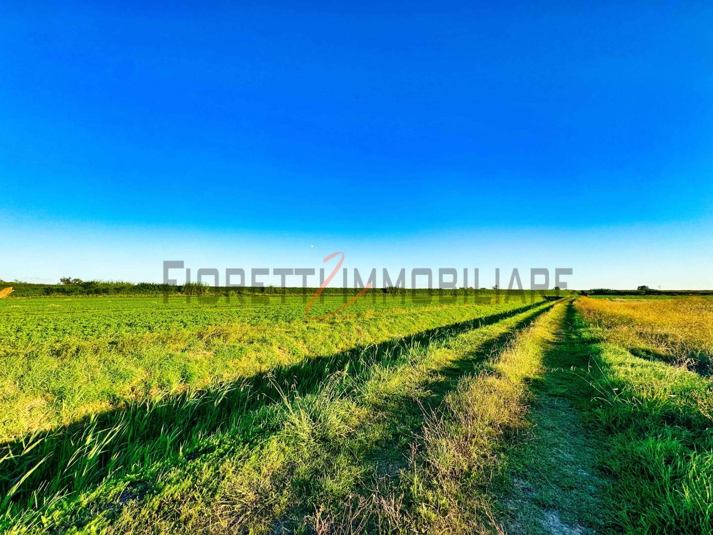 Terreno Agricolo in vendita, Castiglione della Pescaia buriano