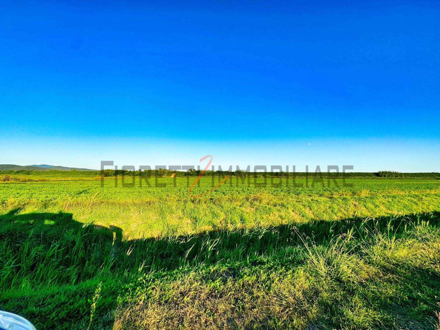 Terreno Agricolo in vendita, Castiglione della Pescaia buriano