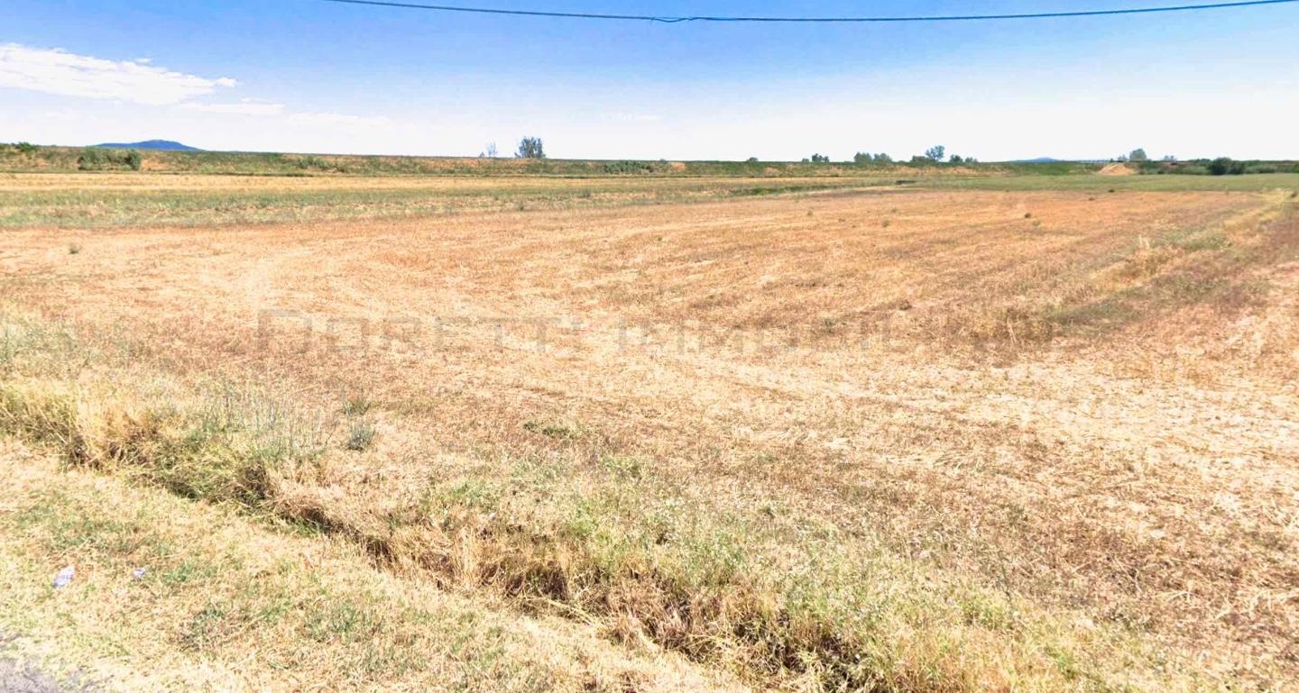 Terreno Agricolo in vendita, Castiglione della Pescaia buriano