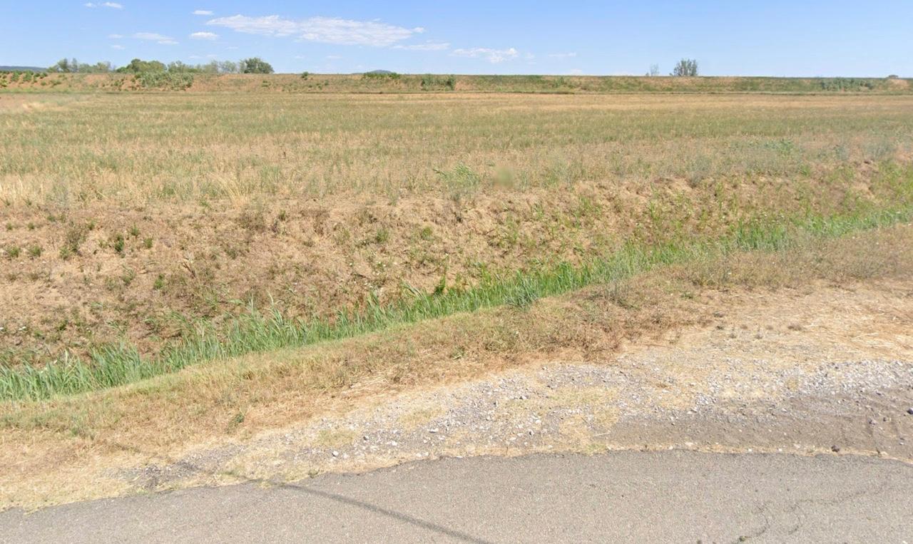 Terreno Agricolo in vendita, Castiglione della Pescaia buriano