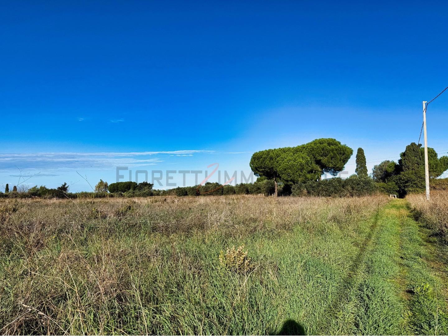 Terreno Agricolo in vendita, Piombino riotorto