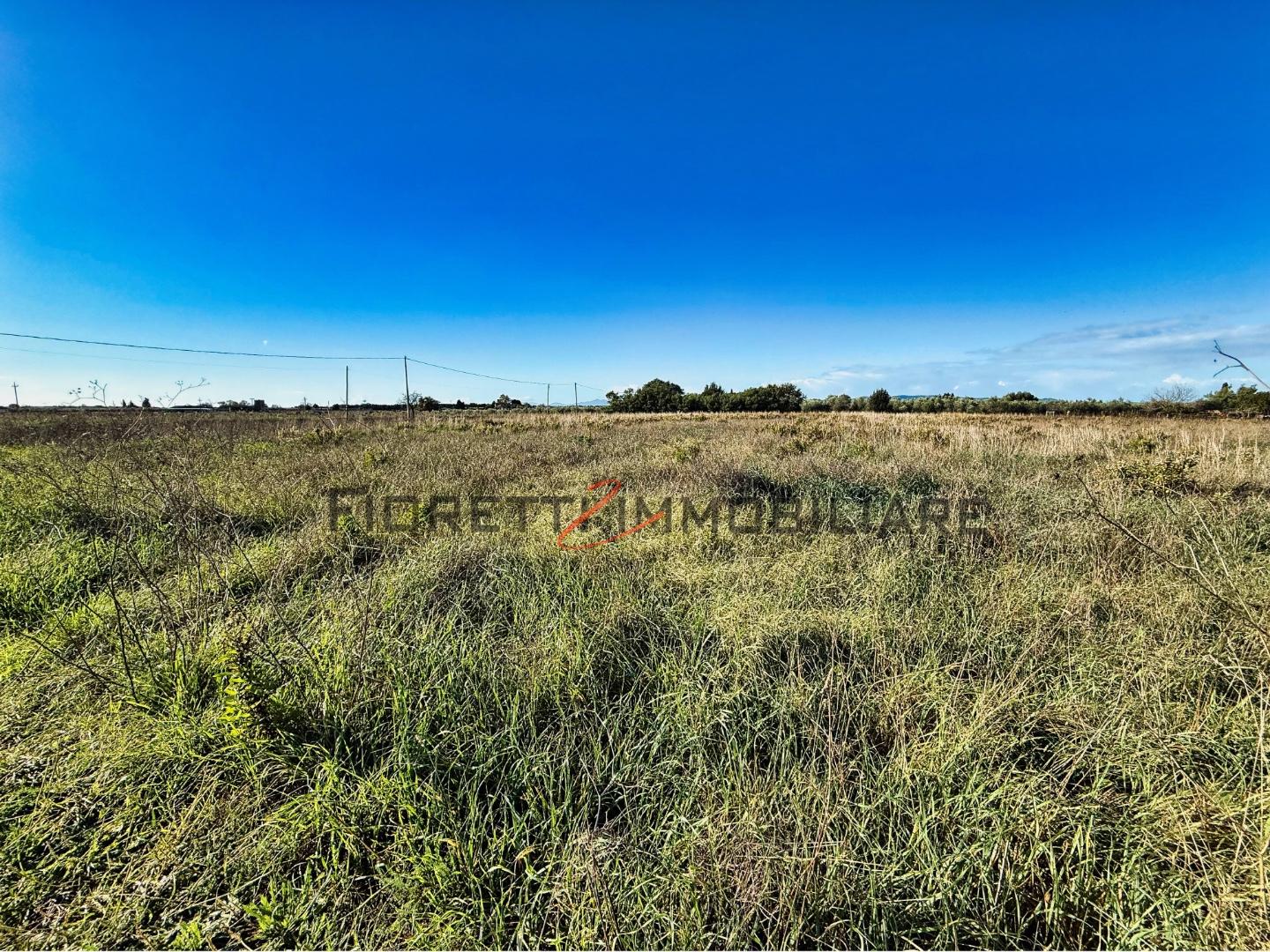 Terreno Agricolo in vendita, Piombino riotorto