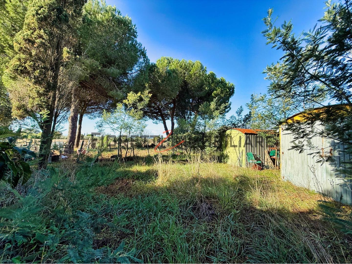 Terreno Agricolo in vendita, Piombino riotorto