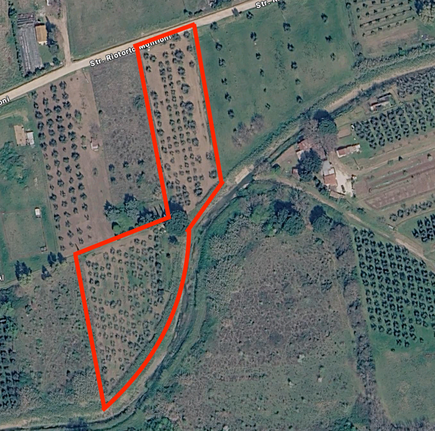 Terreno Agricolo in vendita, Piombino riotorto