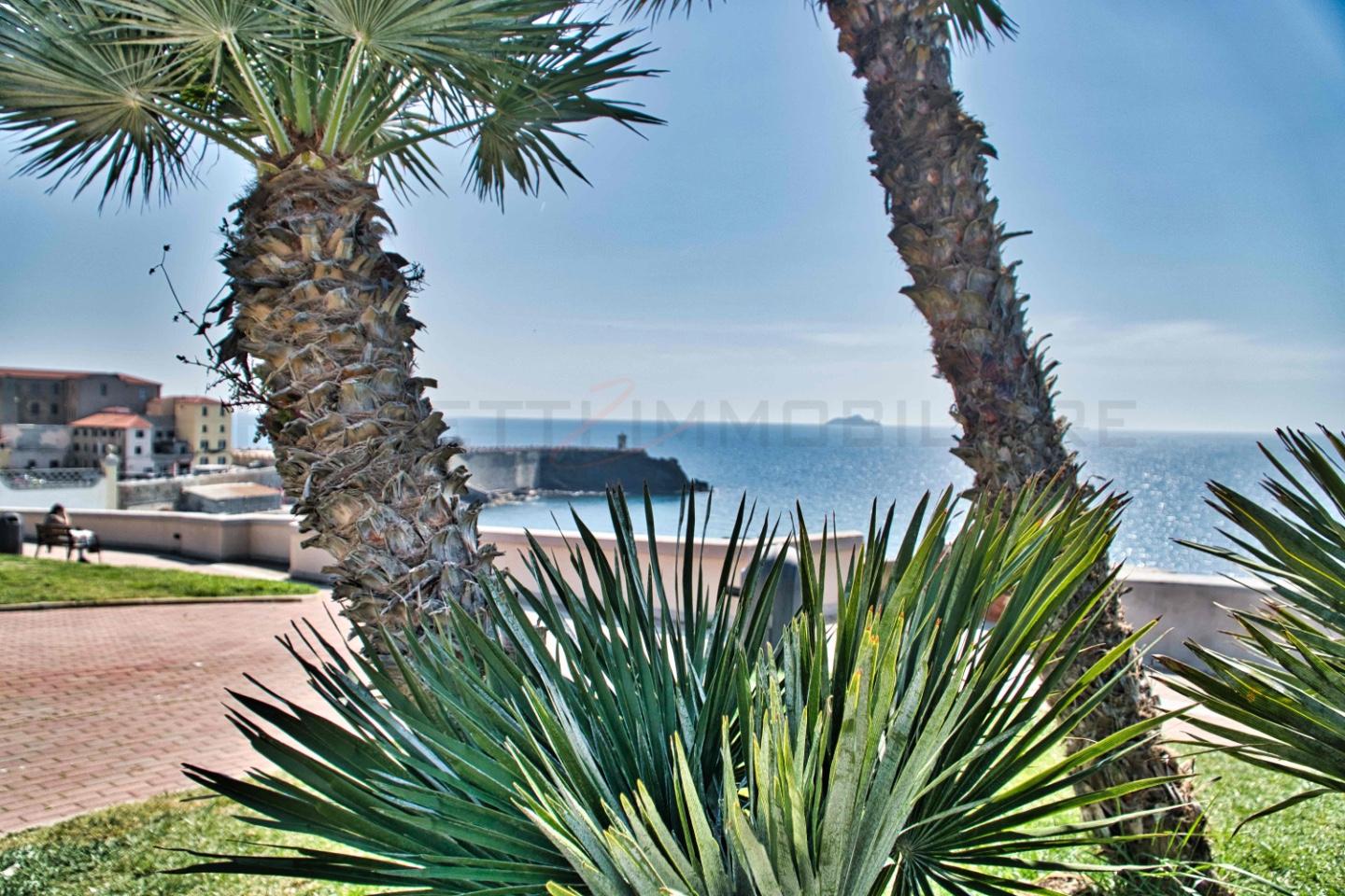 Quadrilocale con giardino a Piombino