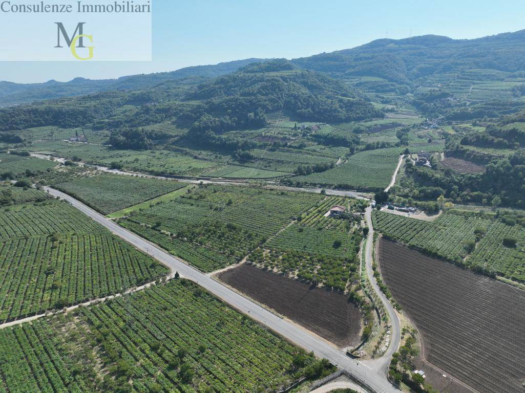 Terreno in vendita a Montecchia di Crosara