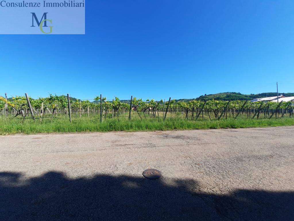 Terreno edificabile in vendita a Gambellara