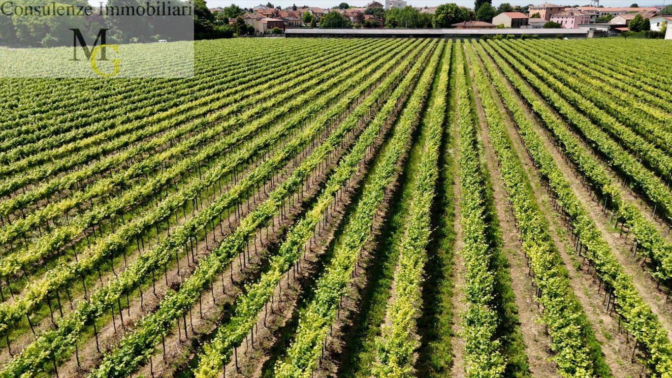 Terreno Agricolo in vendita a Pojana Maggiore