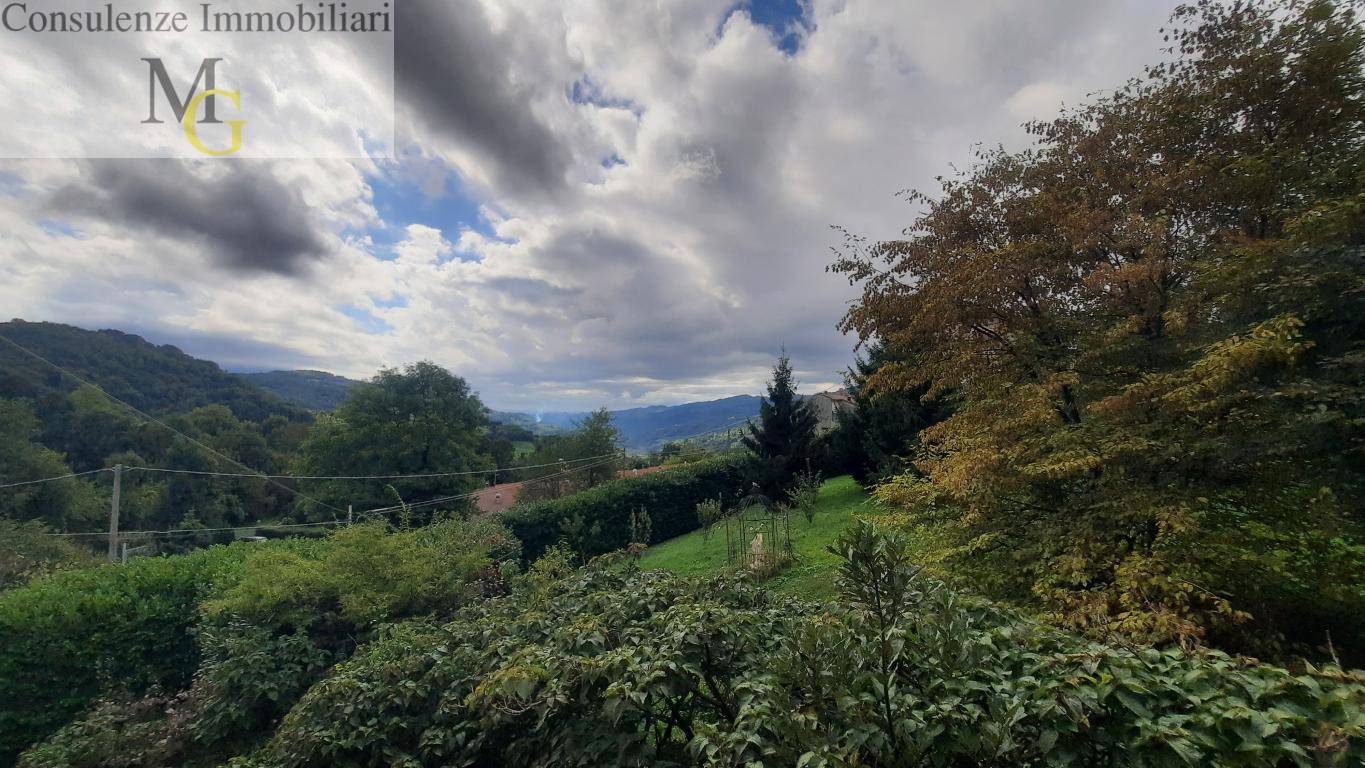 Appartamento in affitto a Vestenanova
