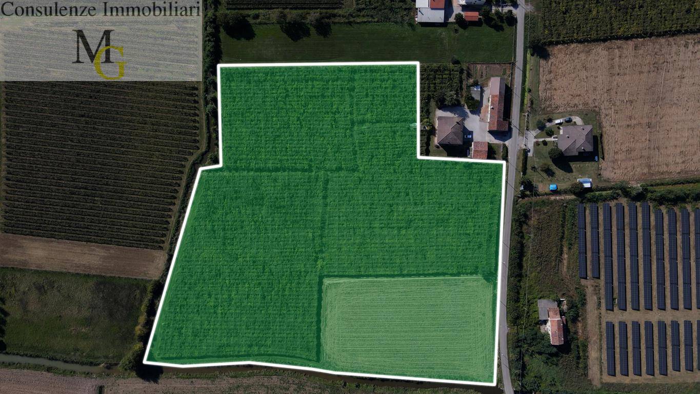 Terreno Agricolo in vendita a Cologna Veneta, Sule