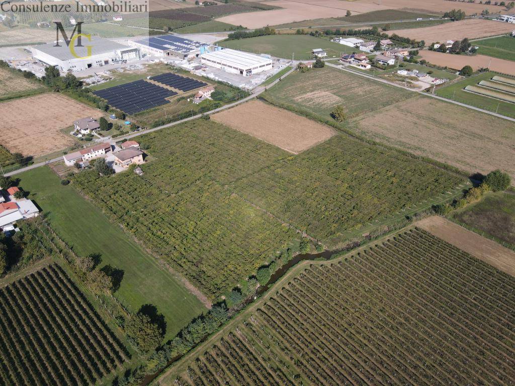 Terreno Agricolo in vendita a Cologna Veneta, Sule