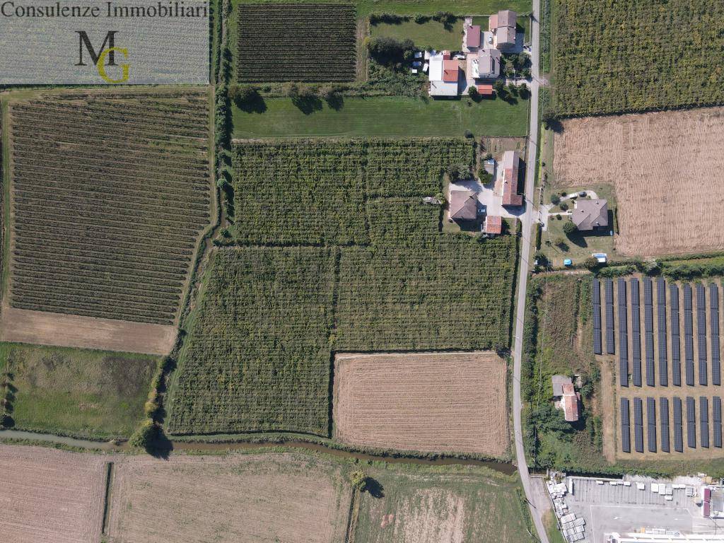 Terreno Agricolo in vendita a Cologna Veneta, Sule