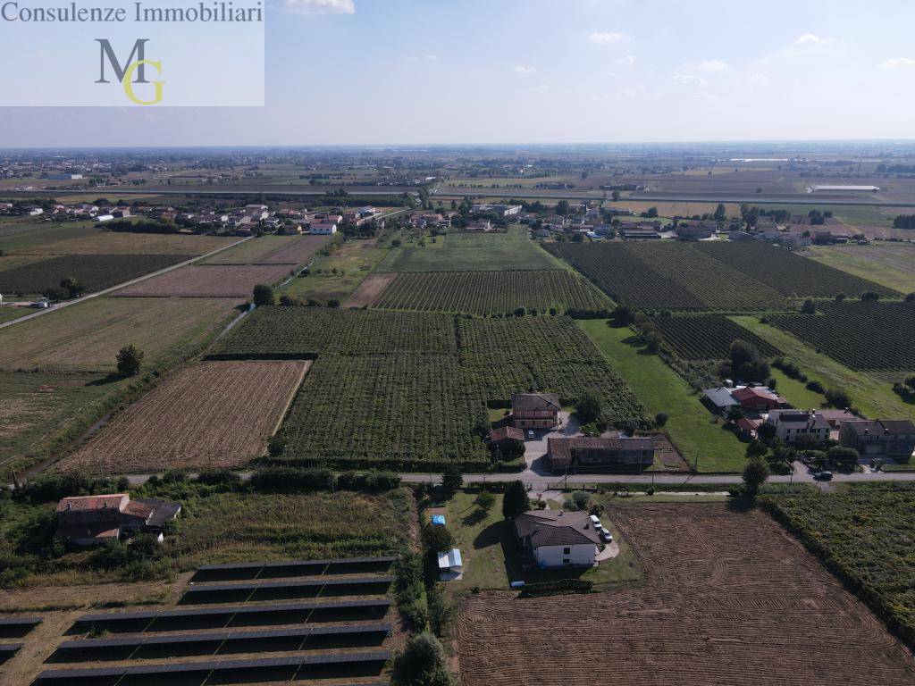 Terreno Agricolo in vendita a Cologna Veneta, Sule