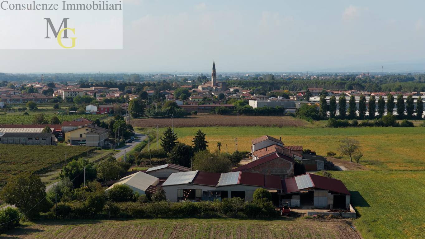 Azienda Agricola in vendita a Albaredo d'Adige