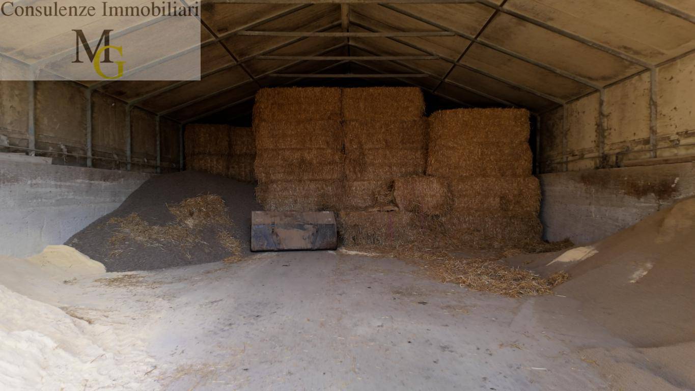 Azienda Agricola in vendita a Albaredo d'Adige