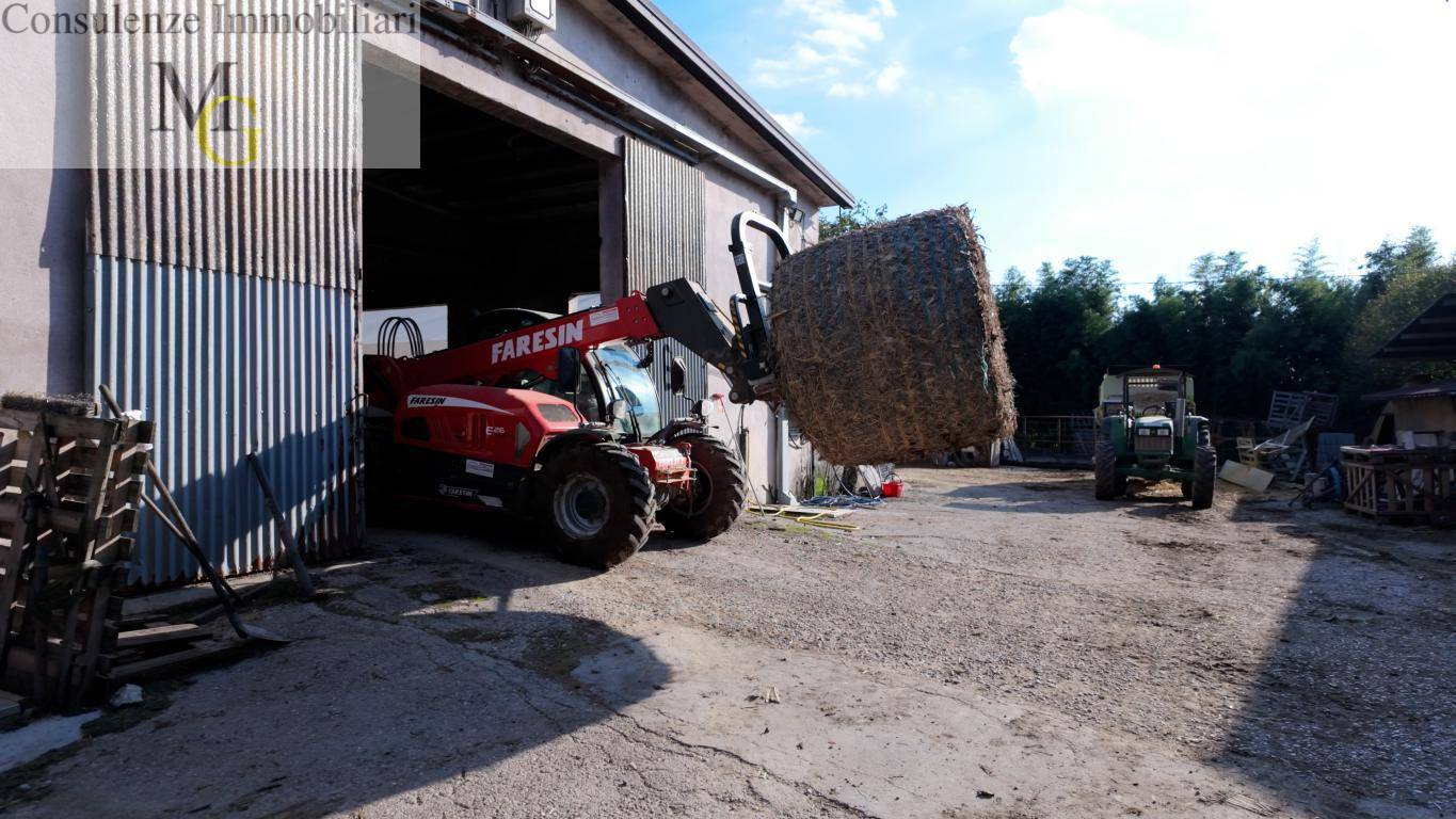 Azienda Agricola in vendita a Albaredo d'Adige