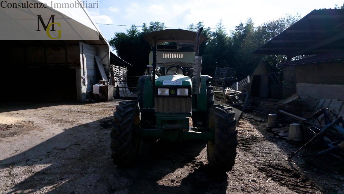 Azienda Agricola in vendita a Albaredo d'Adige