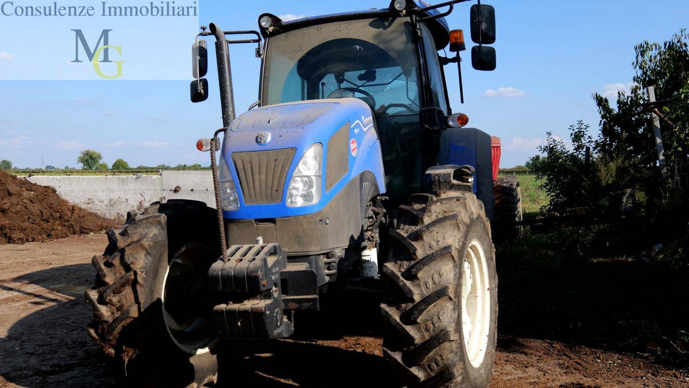 Azienda Agricola in vendita a Albaredo d'Adige