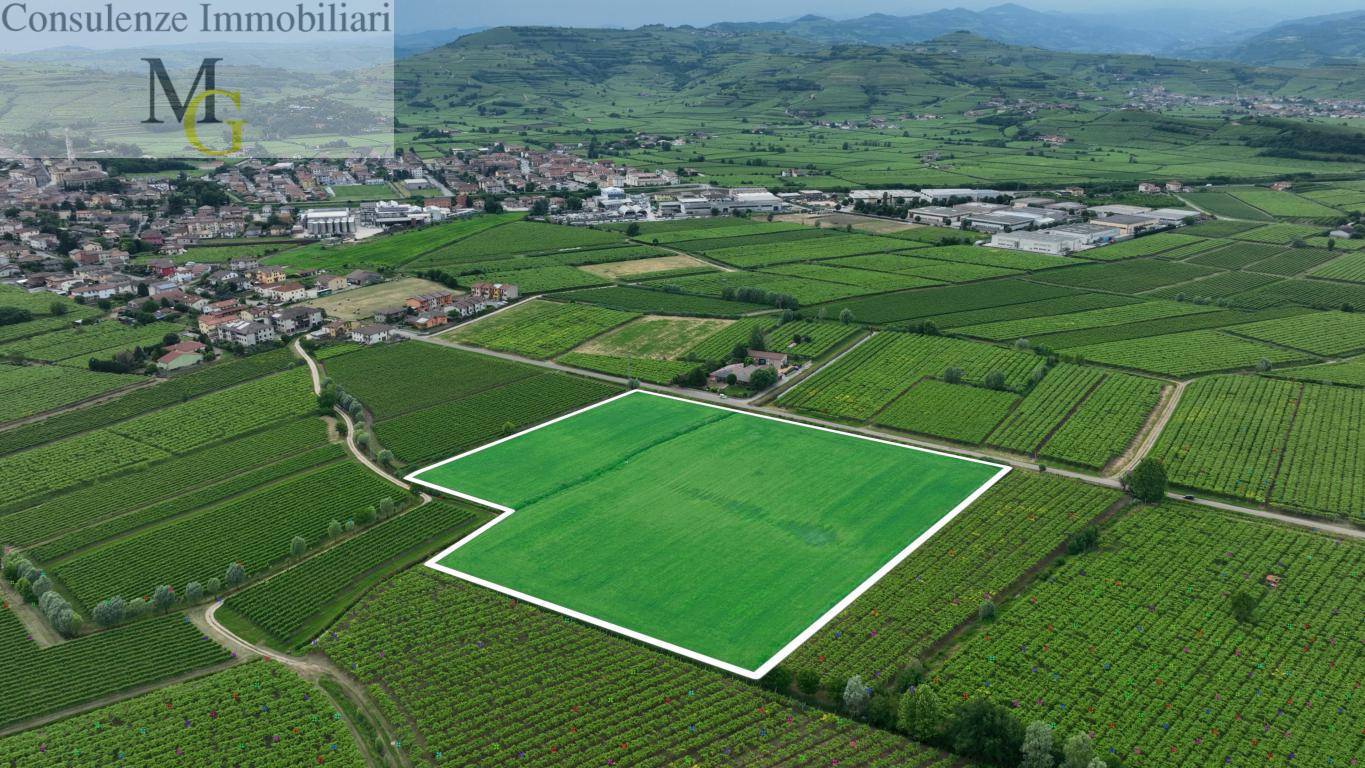 Terreno Agricolo in vendita a Monteforte d'Alpone