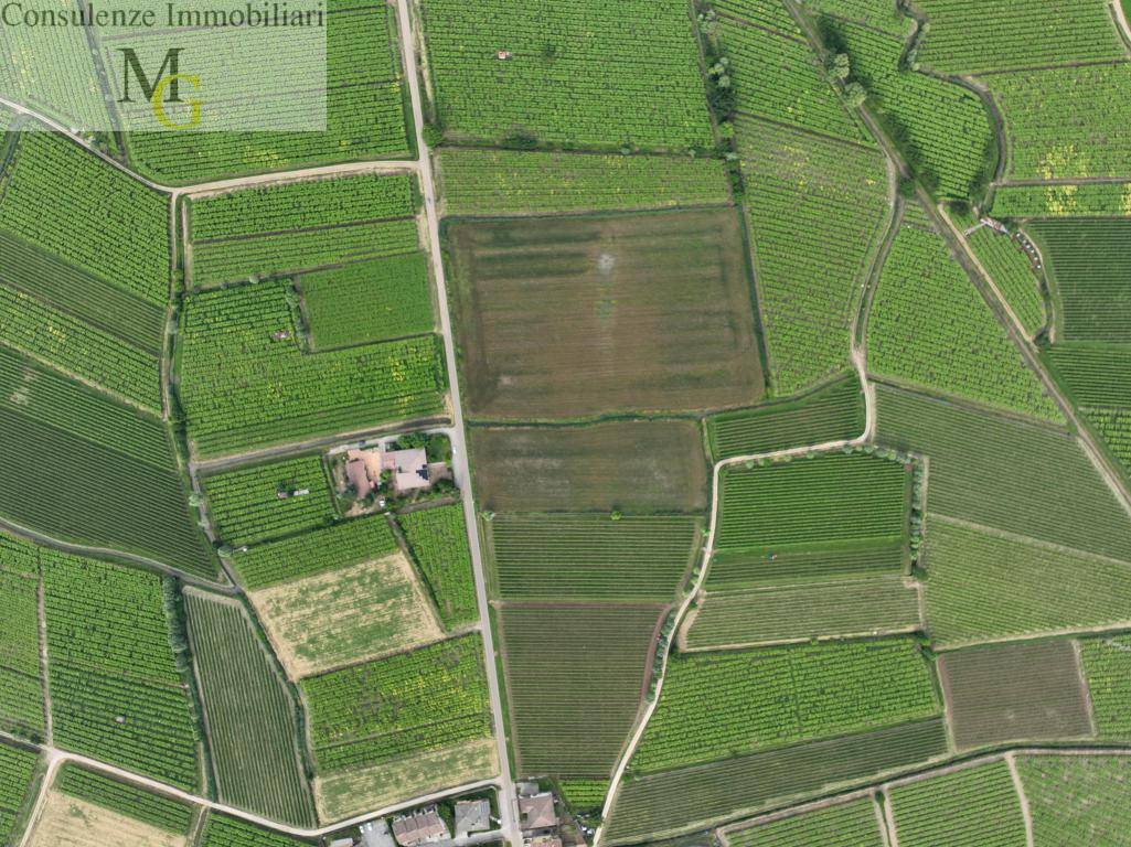 Terreno Agricolo in vendita a Monteforte d'Alpone