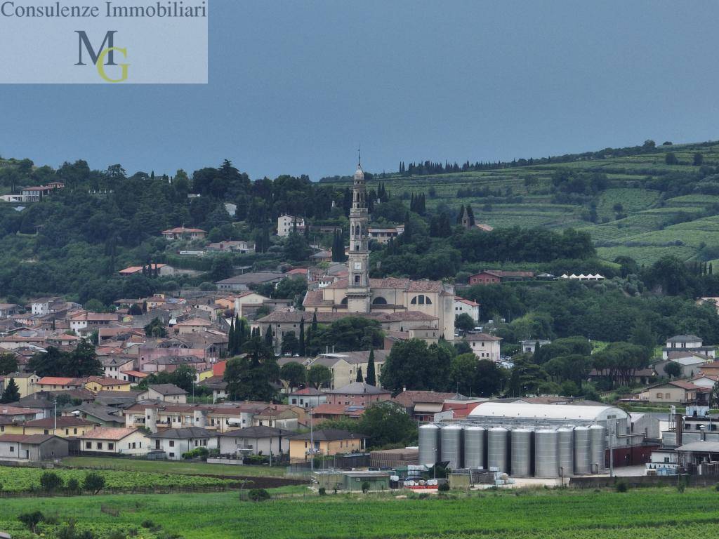Terreno Agricolo in vendita a Monteforte d'Alpone