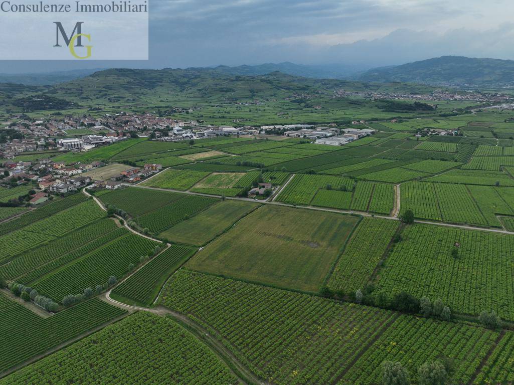 Terreno Agricolo in vendita a Monteforte d'Alpone