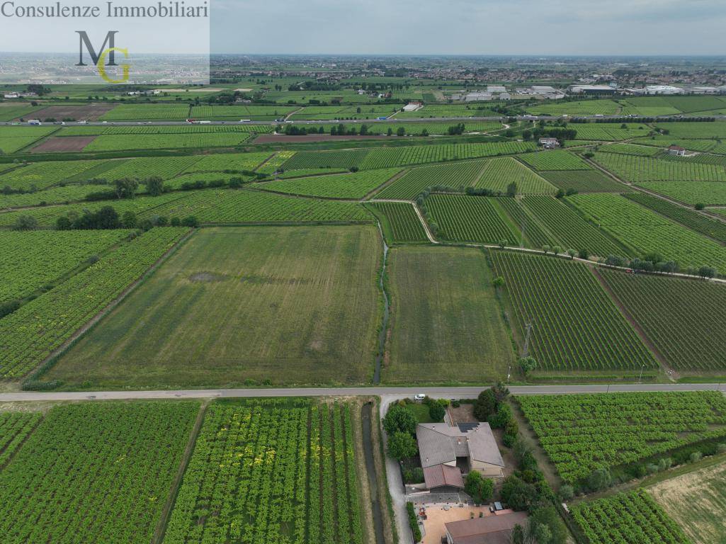 Terreno Agricolo in vendita a Monteforte d'Alpone
