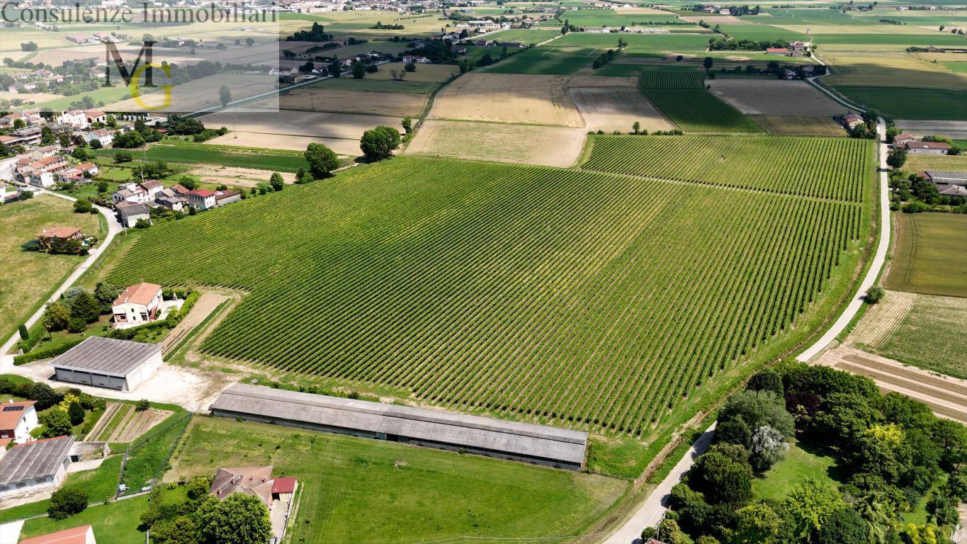 Terreno Agricolo in vendita a Pojana Maggiore