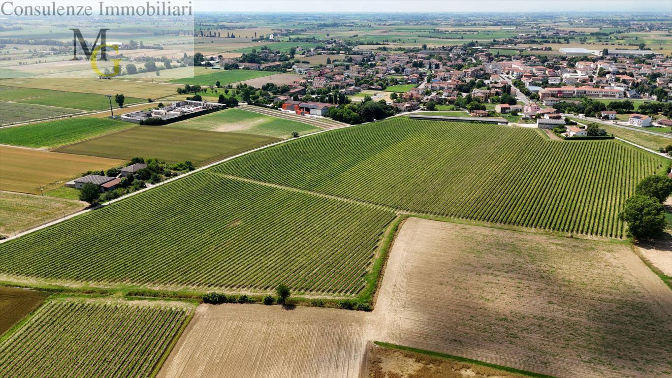 Terreno Agricolo in vendita a Pojana Maggiore