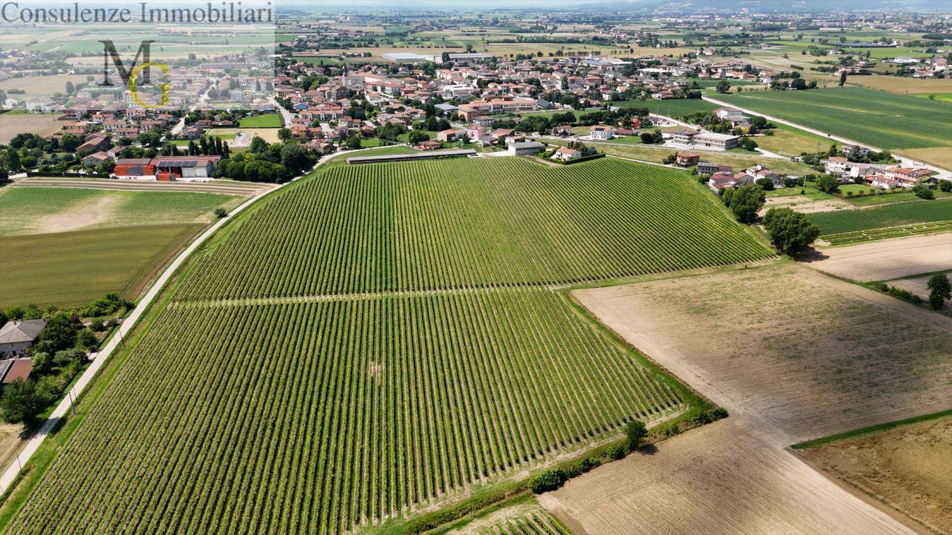 Terreno Agricolo in vendita a Pojana Maggiore