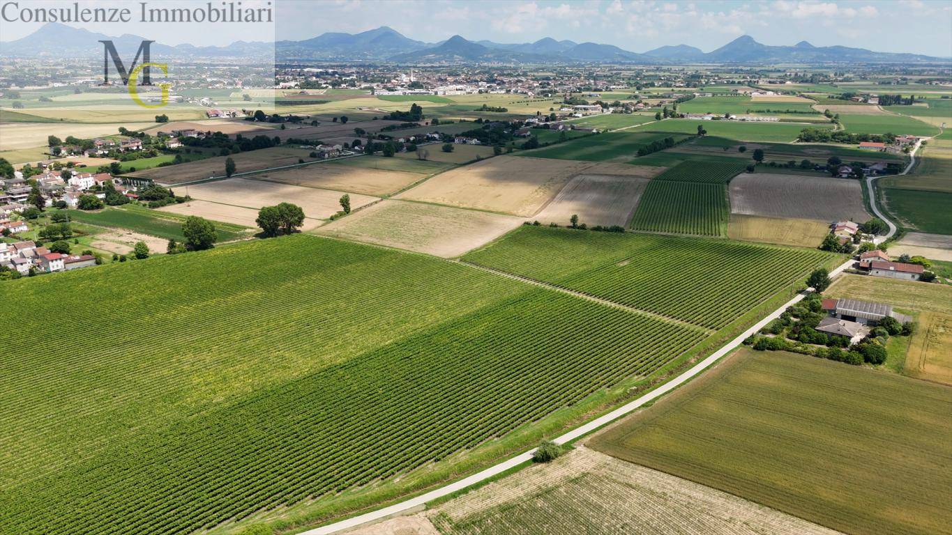 Terreno Agricolo in vendita a Pojana Maggiore