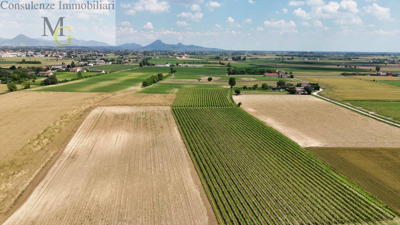 Terreno Agricolo in vendita a Pojana Maggiore