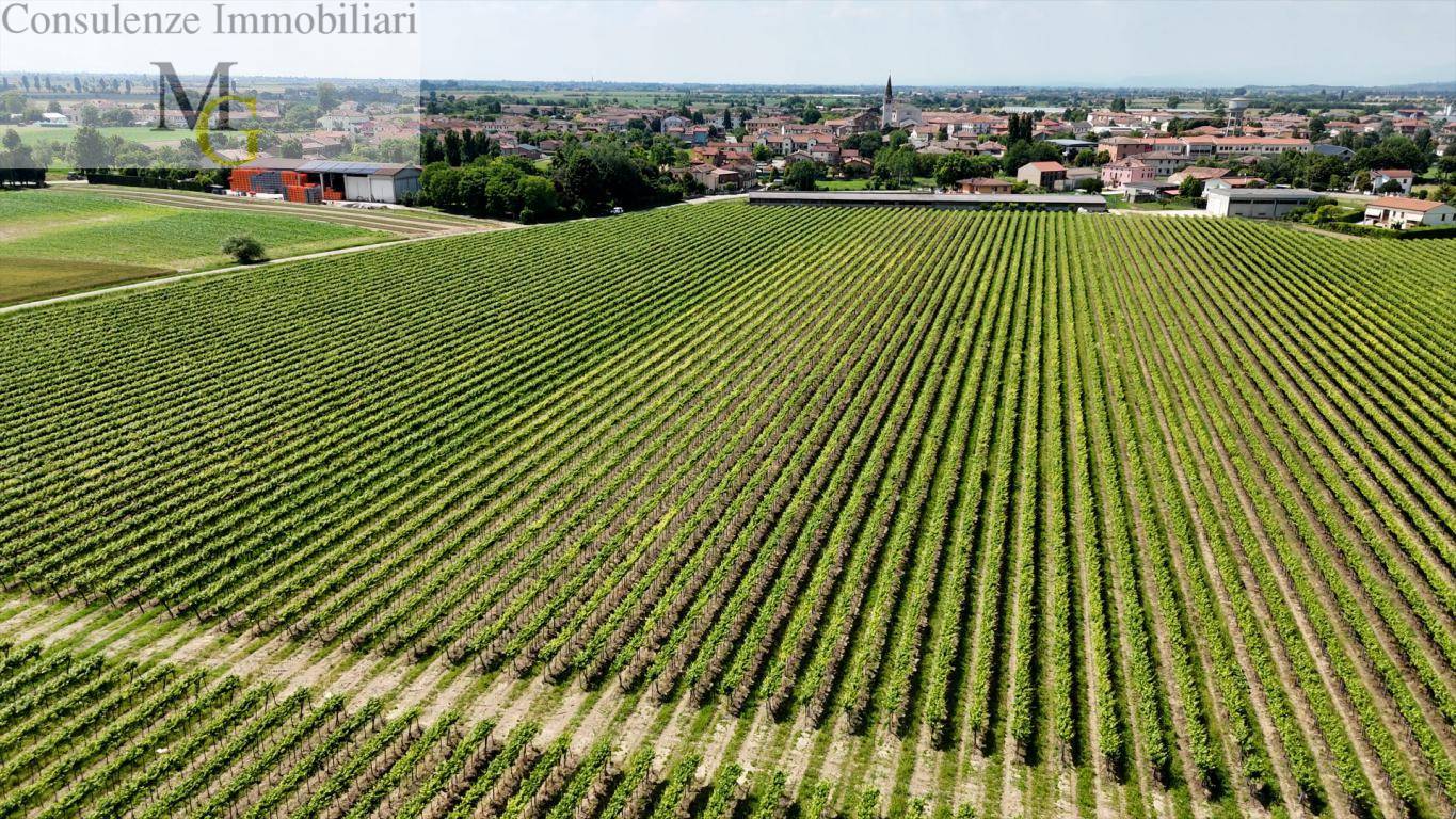Terreno Agricolo in vendita a Pojana Maggiore