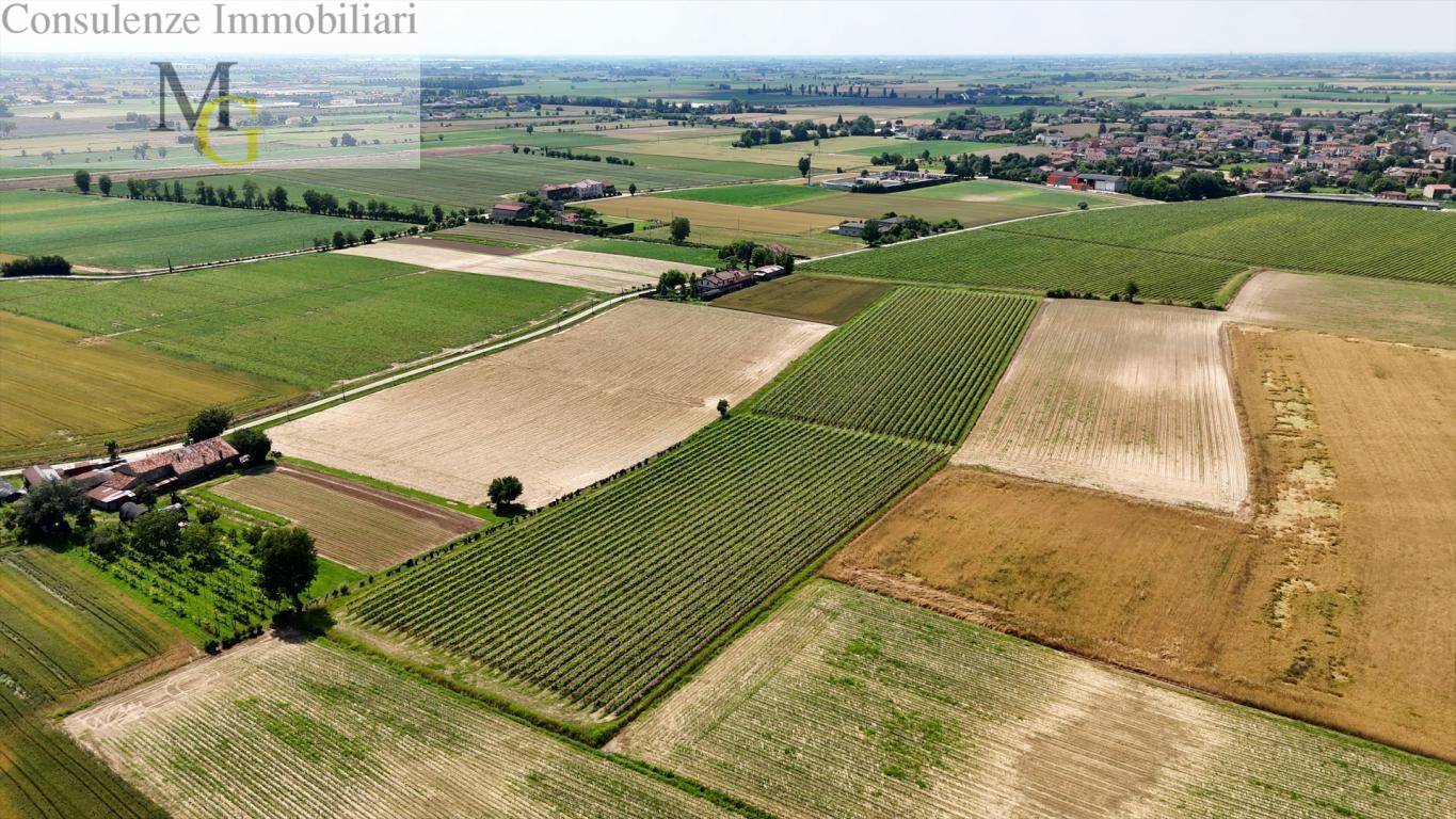 Terreno Agricolo in vendita a Pojana Maggiore