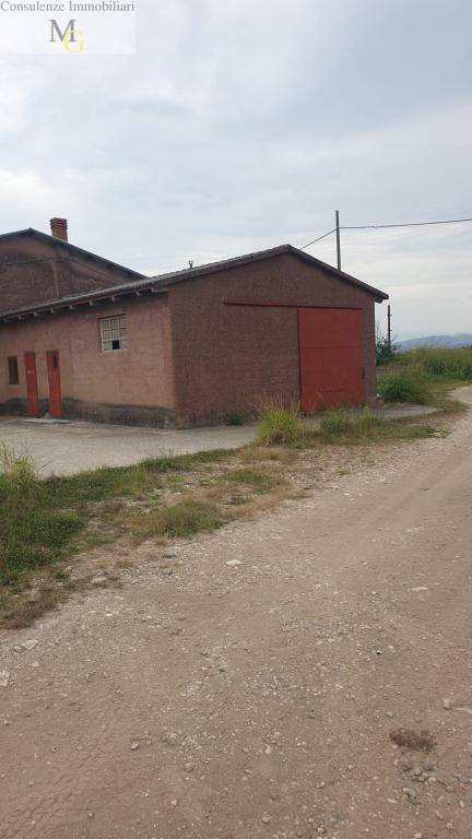 Terreno Agricolo in vendita a Belfiore