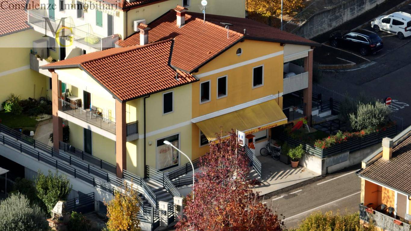 Attivit commerciale in vendita a Monteforte d'Alpone, Brognoligo