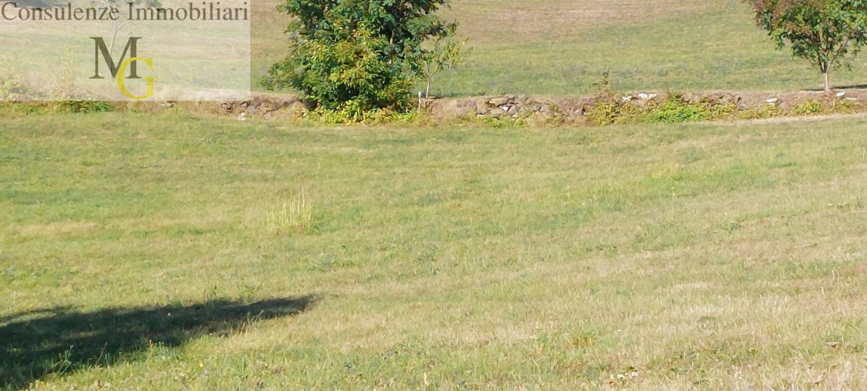 Terreno Agricolo in vendita a Vestenanova