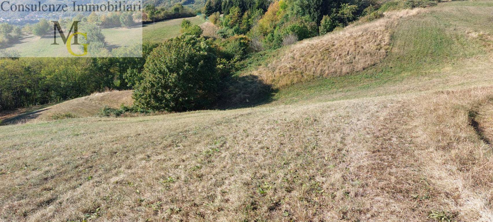 Terreno Agricolo in vendita a Vestenanova