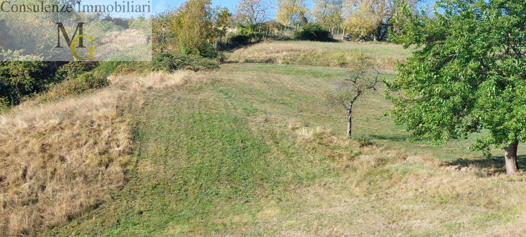Terreno Agricolo in vendita a Vestenanova