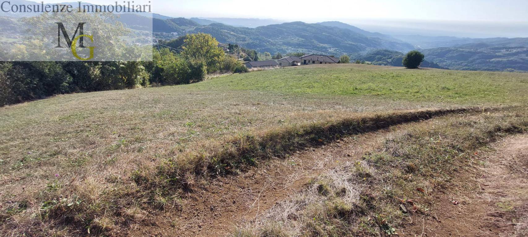 Terreno Agricolo in vendita a Vestenanova