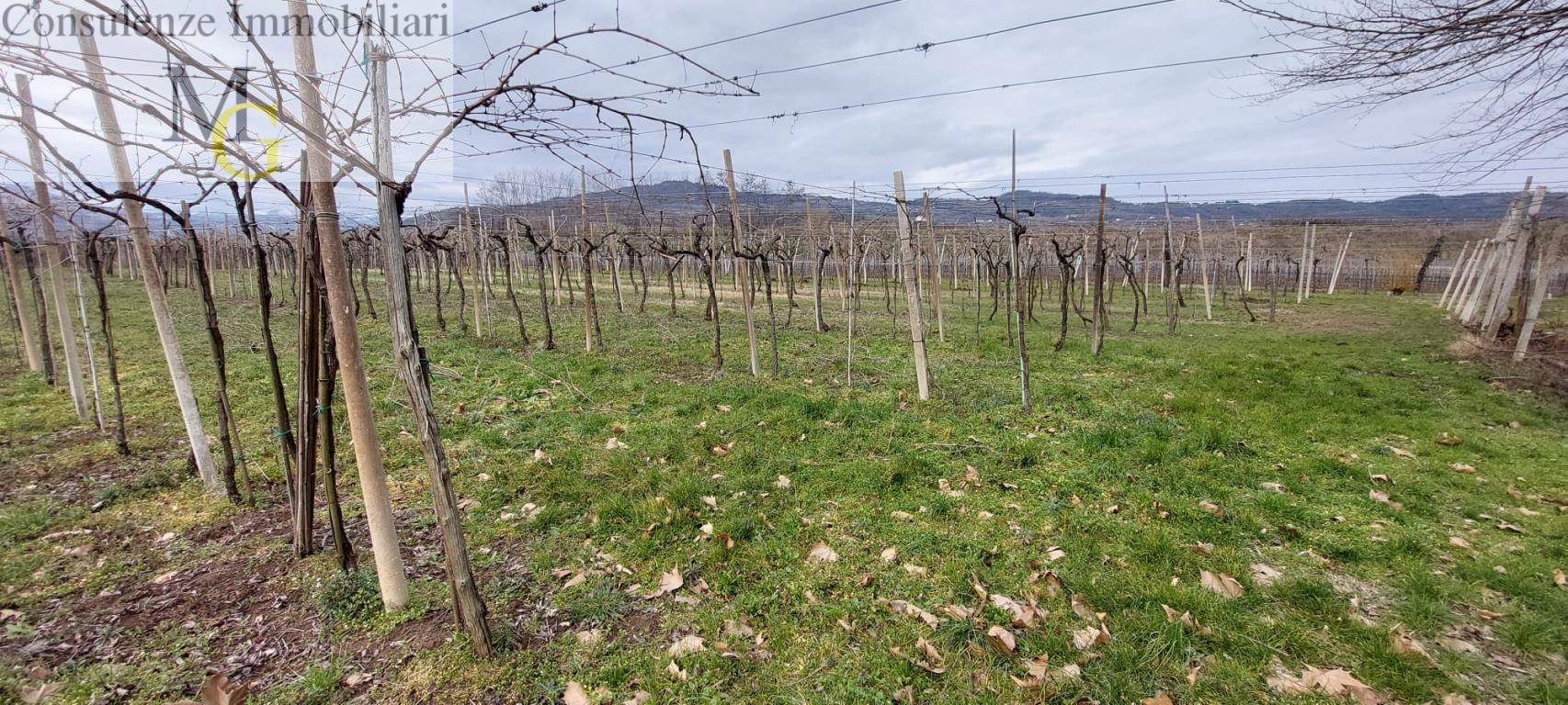 Terreno Agricolo in vendita a Montecchia di Crosara