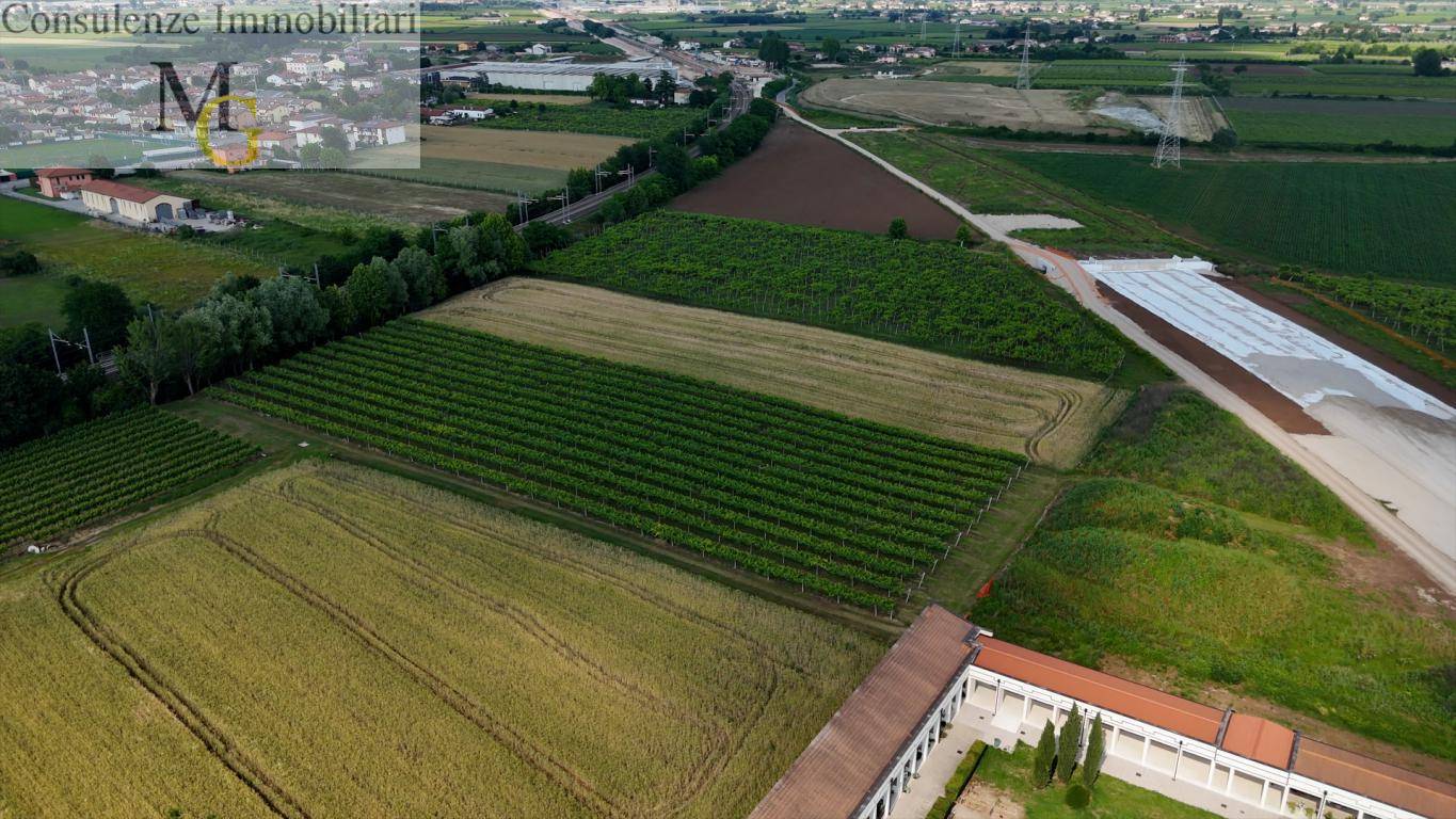 Terreno Agricolo in vendita a San Bonifacio, Locara