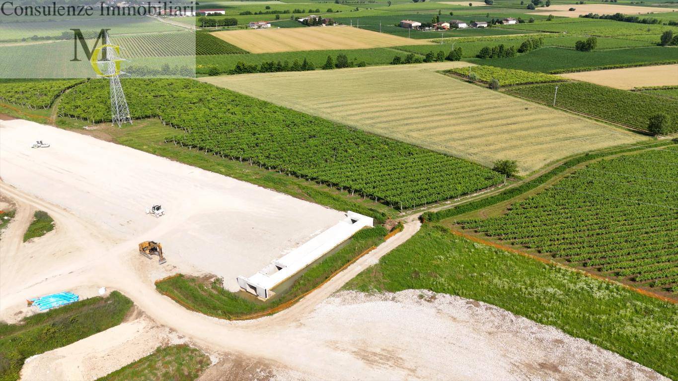 Terreno Agricolo in vendita a San Bonifacio, Locara