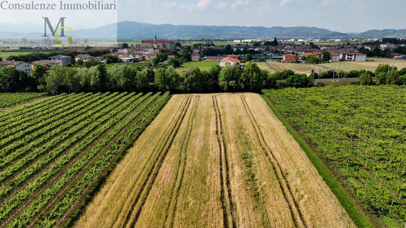Terreno Agricolo in vendita a San Bonifacio, Locara